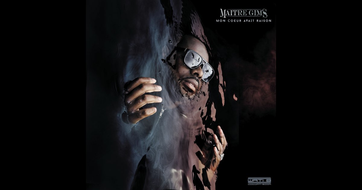 Mon cœur avait raison - GIMS