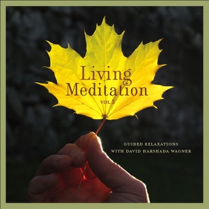 Living Meditation, Vol. 3: Guided Relaxations With David Harshada Wagner