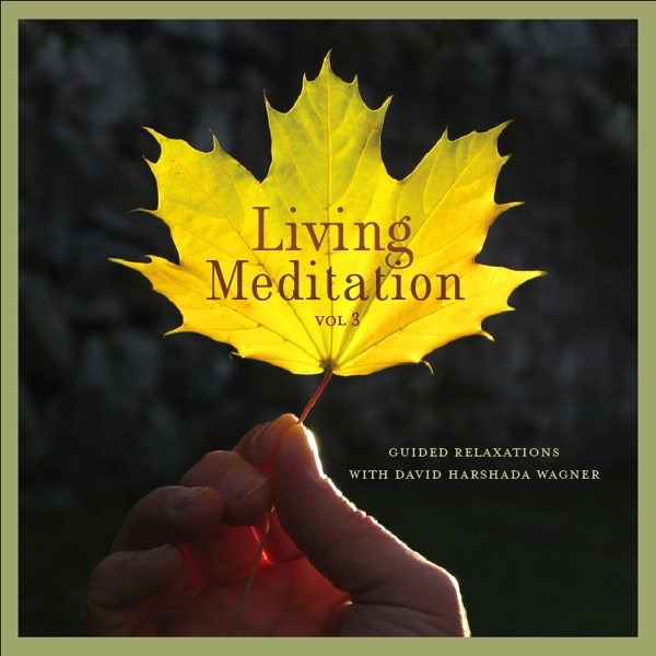Living Meditation, Vol. 3: Guided Relaxations With David Harshada Wagner