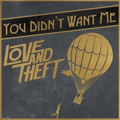 You Didn't Want Me - Single