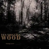November Moments — Ten Shilling Wood