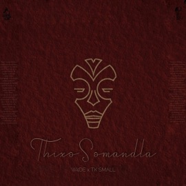 Thixo Somandla (feat. Tk.small) W4DE