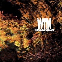 Wtm (feat. Qulan.) - Single - SMAVS