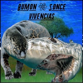 Vivências (feat. Sonce) Bumon