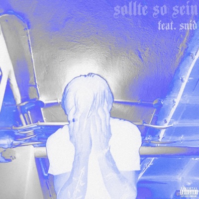 sollte so sein (feat. Snid) - Single