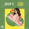SHADE K - Tryin' Weed