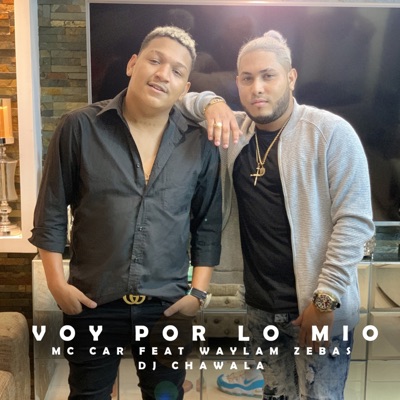 Voy por Lo Mio (feat. DJ Chawala & Waylam Zebas) - Single
