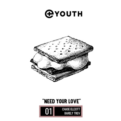 Need Your Love (feat. Chase Elliott & Barely Trev) - Single