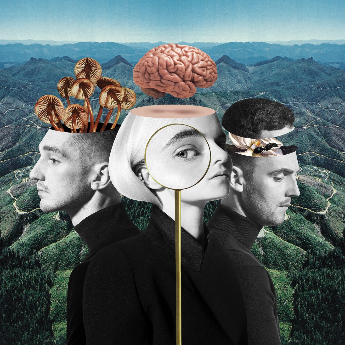 Clean Bandit – What Is Love? (Deluxe) (2018) [iTunes Match M4A]