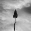 A Black Mile To The Surface - Manchester Orchestra