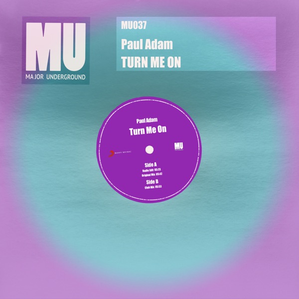 Turn Me On - Single