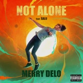 NOT ALONE (feat. SALU) artwork