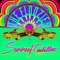 Sunroof Cadillac - The Floozies lyrics