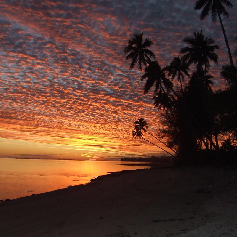 Kirwan Eagle Theme Ribbon Song Lyrics, Music Videos & Concerts