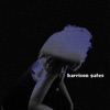 Harrison Gates - Sweet Tooth