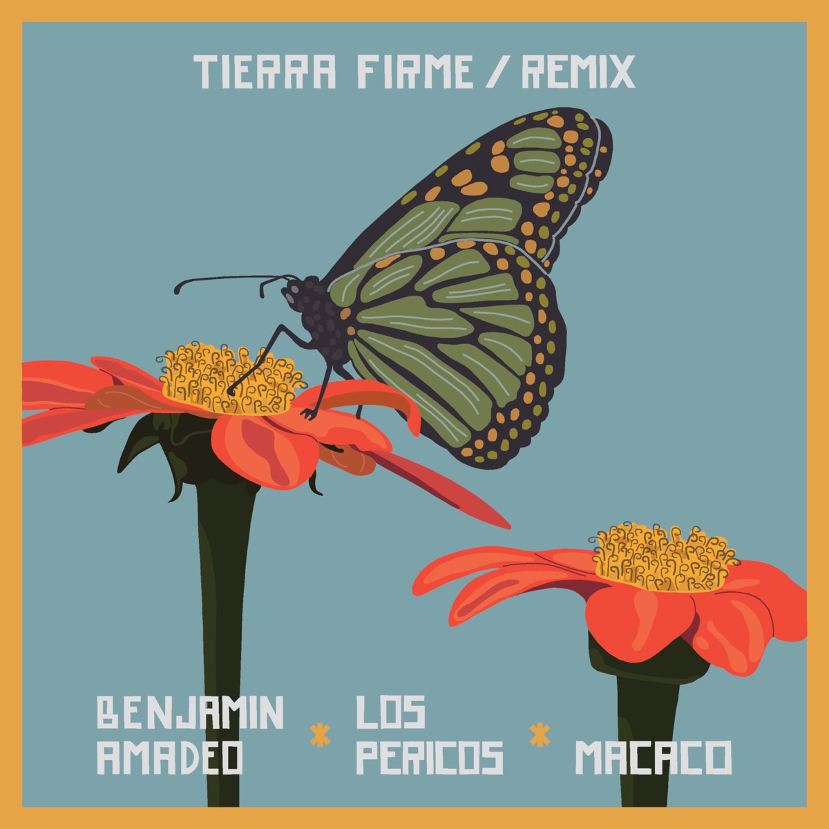 Tierra Firme Remix - Single - Album by Benjamin Amadeo, Macaco & Los  Pericos - Apple Music