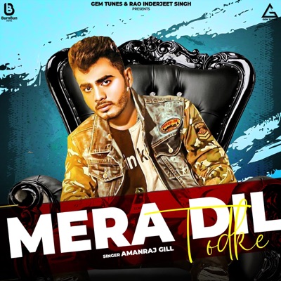 Mera Dil Todke - Single