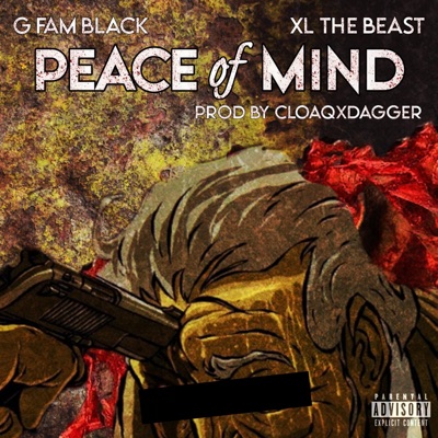Peace of Mind (feat. XL the Beast & CLOAQxDAGGER) - Single