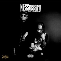NESSessary (feat. Chow Lee) - Single - Joe Ness