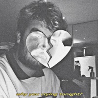 Why You Crying Tonight? - Single - RipThePetals