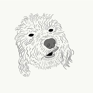 Oliver - EP