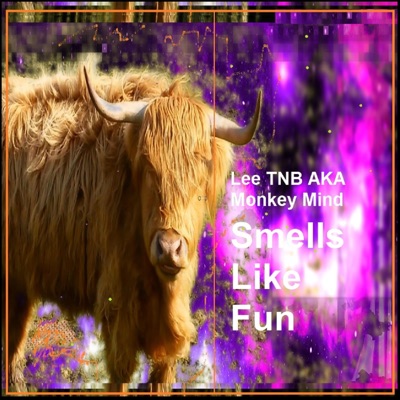 Lee TNB AKA Monkey Mind - Smells Like Fun (Deep Space Nine Mix)
