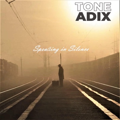 Speaking in Silence (feat. vyblektro) [Instrumental] [Instrumental] - Single