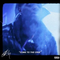 Come to the Crib - Single - Anthony 1999