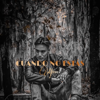 Cuando No Estas - Single