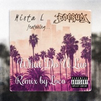 What Do U Luv (Remix) [feat. Russian Loco & Foesum] - Single - Mista L