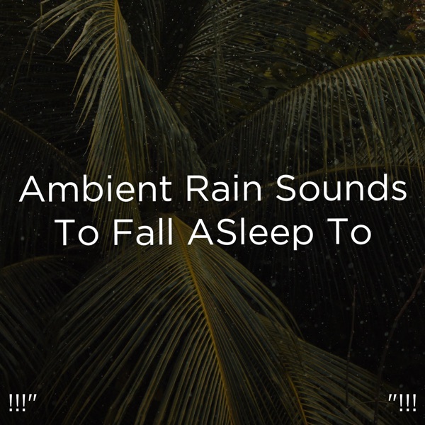 !!!" Ambient Rain Sounds to Fall Asleep to "!!!