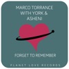 Forget to Remember - Single