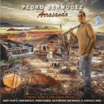 Pedro Bermudez - Mentiras No Quiero (feat. José Mangual Jr)