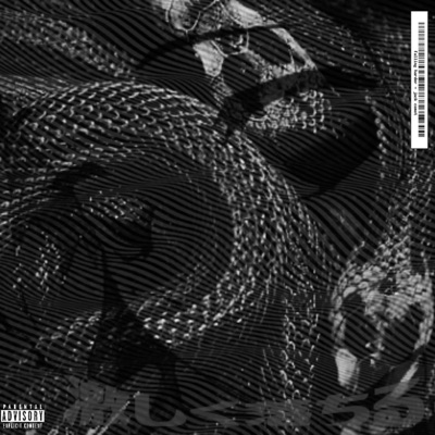 Falling Harder - Single