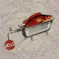 Bobby Fischer - Single - OJ Mountain & Sammy Rosario