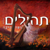 Tehilim - Moishe Mintz