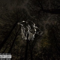 I Wish I Could Fly - Single - Modest God