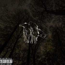 I Wish I Could Fly Modest God