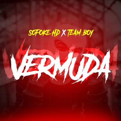 Vermuda (feat. team boy) - Single