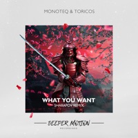 What You Want (Sharapov Remix) - Single - Monoteq & Toricos