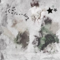 Won't do None - Single - 1300payne