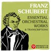 Franz Schubert: Essential Orchestral Works & Transcriptions artwork