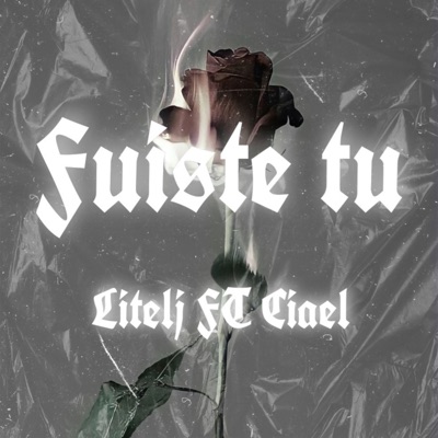 Fuiste Tu (feat. Ciael) - Single