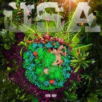 Usa - Single - Yomil y El Dany