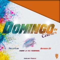 Domingo De Colores (feat. Arking La Voz Fenomenal & Antidema 23) - Single - Pollo Flow