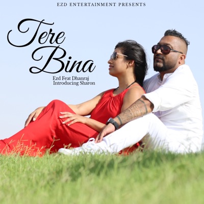Tere Bina (feat. Dhanraj) - Single