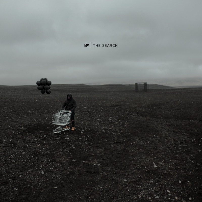 album cover of NF - The Search