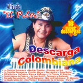 Alfredo El Pulpo Y Sus Teclados - La Cumbia del Sapito