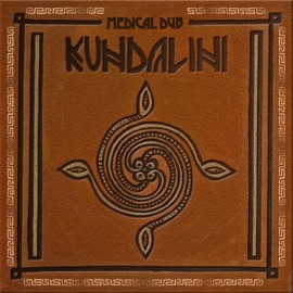 Never Give Up (feat. Lenny & Austin) Medical Dub