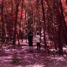 Listen to Amkx, watch music videos, read bio, see tour dates & more!